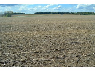 Property photo 57 - EHLE FARMS AUCTION - 118+/- ACRES IN 9 TRACTS IN ALLEN COUNTY, INDIANA
